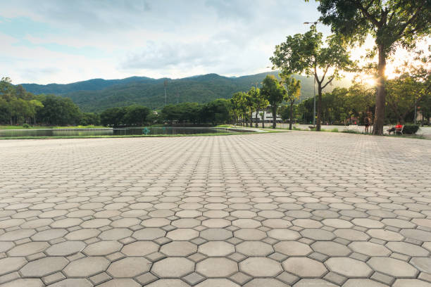 Best Concrete Paver Driveway  in Bluffton, SC