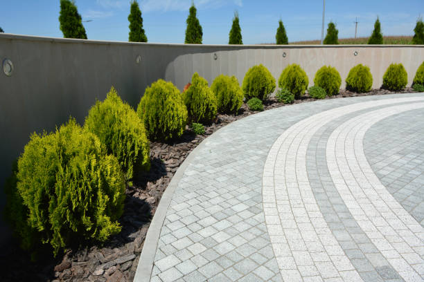 Best Custom Driveway Pavers  in Bluffton, SC